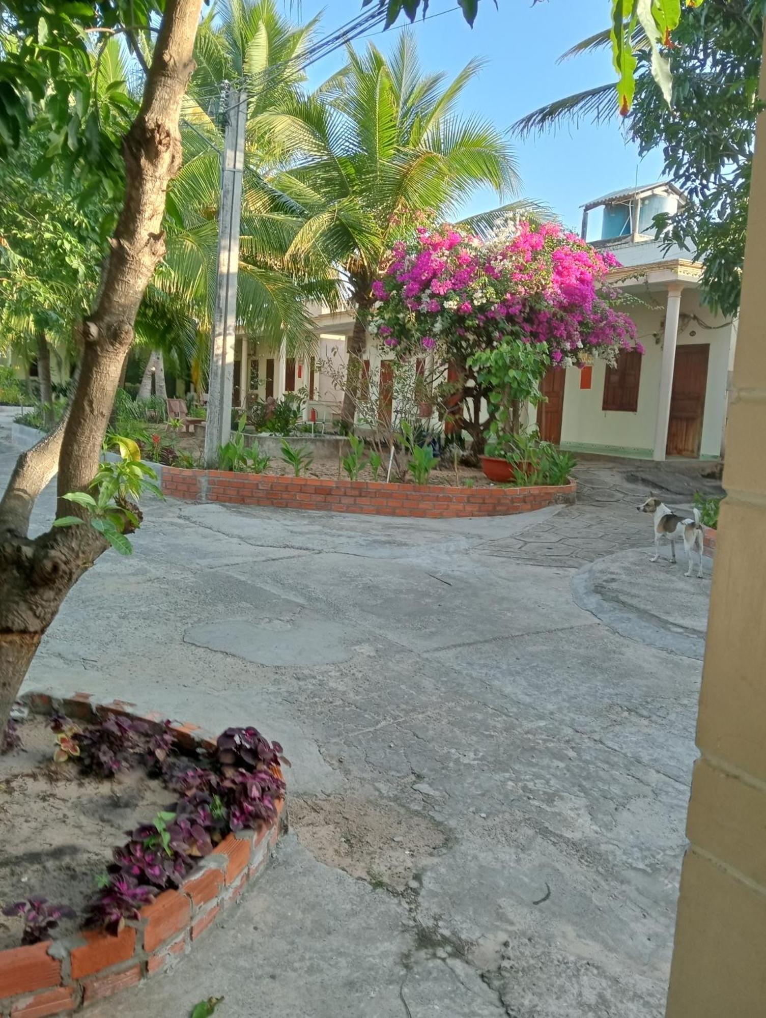 Homestay Nhat Thi Муйне Екстер'єр фото